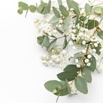Fresh Flowers