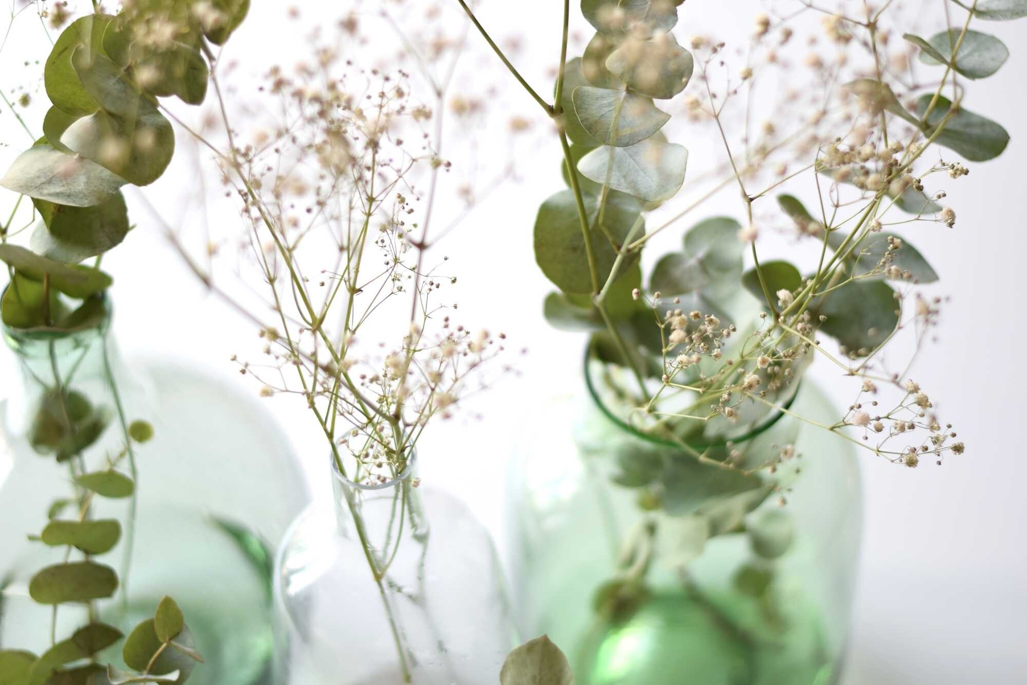 Bestel Verse Bloemen en Takken Online bij MyFlowers.shop