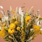 Dried Flowers