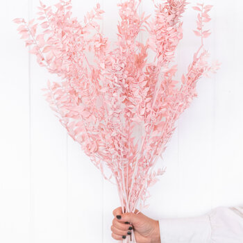 Dried Ruscus branches