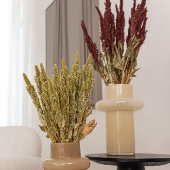 Getrockneter Amaranthus