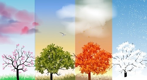 Ontdek hier de seizoensgebonden artikelen van MyFlowers.shop