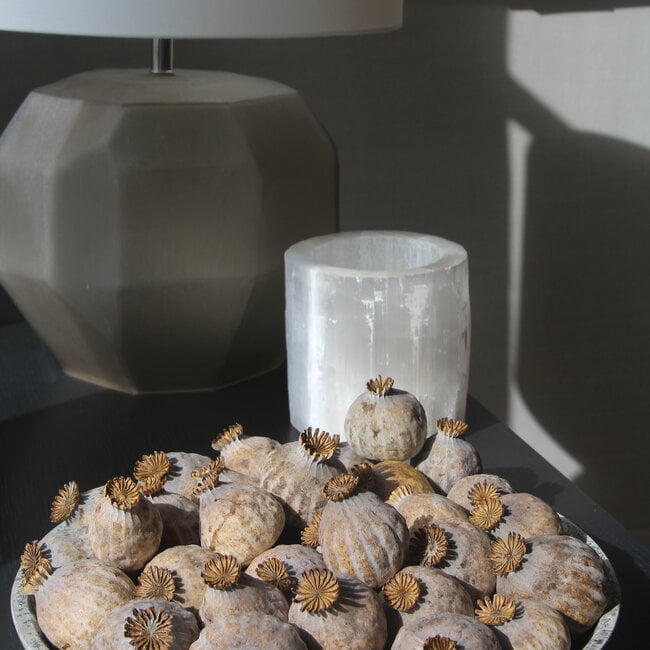 Dried Poppy Heads | Size L | Harvest 2025 | Order by the kilo