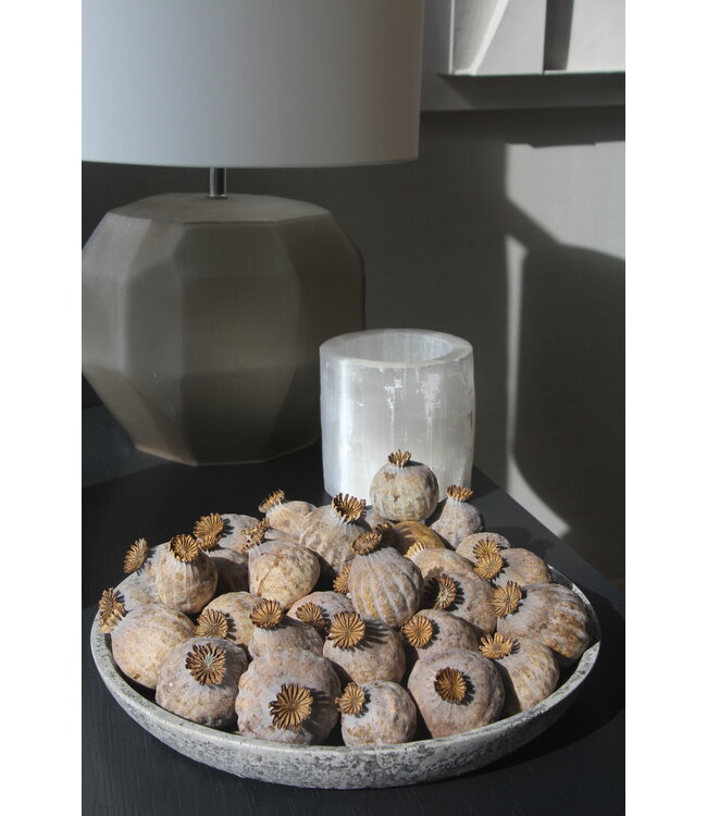 Dried Poppy Heads | Size L | Harvest 2025 | Order by the kilo