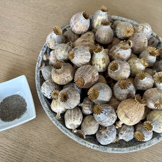 POPPY POWER Gedroogde papaver koppen | Maat L | Oogst 2025 | Per kilo