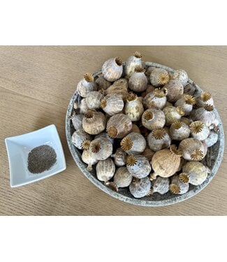 POPPY POWER Dried Poppy Heads | Size L | Harvest 2025 | Per Kilo