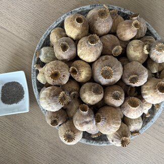 POPPY POWER Getrocknete Mohnköpfe | Größe XL | Ernte 2025 | Pro Kilo