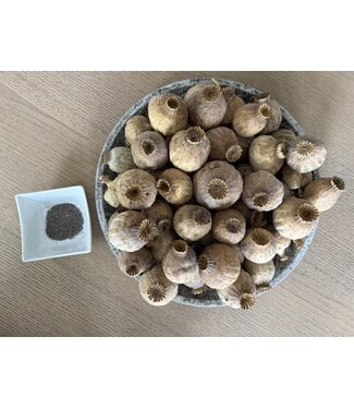 POPPY POWER Dried poppy heads | Size XL | Harvest 2025 | Per kilo