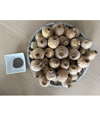 POPPY POWER Getrocknete Mohnköpfe | Größe XL | Ernte 2025 | Pro Kilo