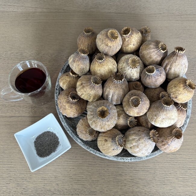 Dried poppy heads | Size XL | Harvest 2025 | Order by the kilo