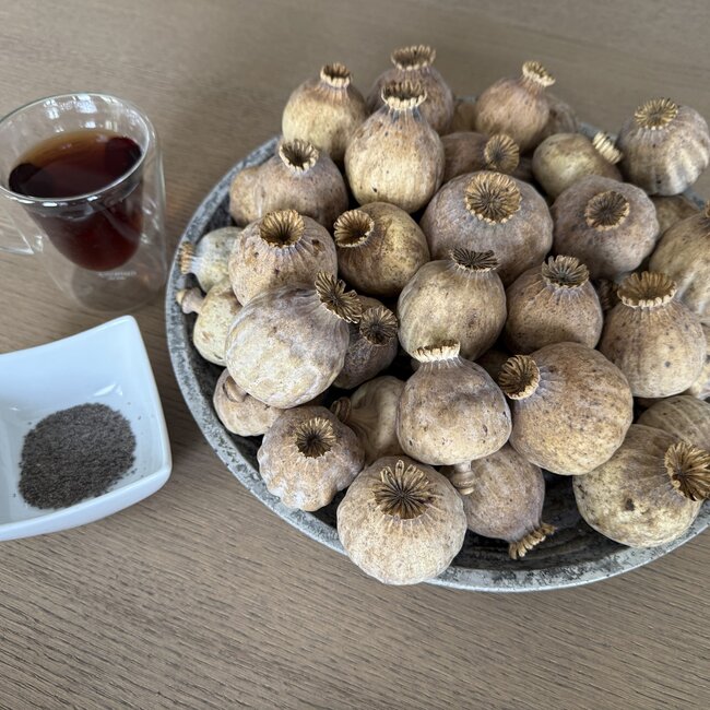 Dried poppy heads | Size XXL | Harvest 2025 | Order by the kilo