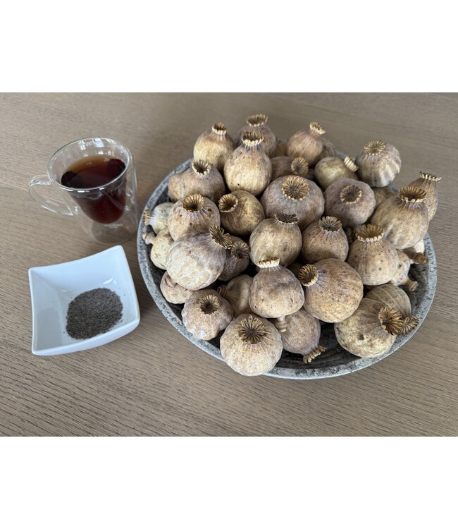 Dried poppy heads | Size XXL | Harvest 2025 | Order by the kilo