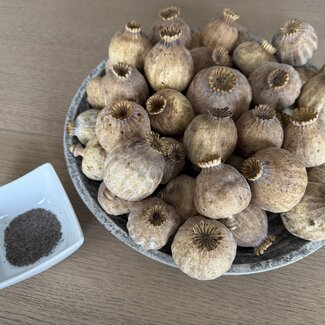 POPPY POWER Gedroogde papaver koppen | Maat XXL | Oogst 2025 | Per kilo