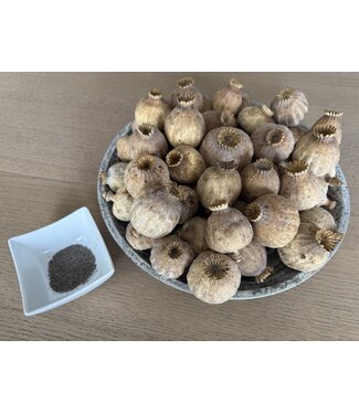 POPPY POWER Gedroogde papaver koppen | Maat XXL | Oogst 2025 | Per kilo