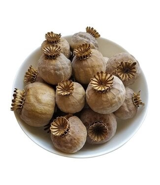 POPPY POWER Austrian poppy heads | Seedless | Harvest 2025 | Per 500 grams