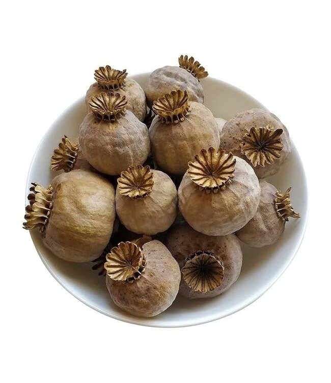 Österreichische Mohnköpfe | Kernlos | Ernte 2025 | Bestellung pro 500 Gramm