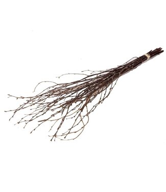 Dutch Dried Natural Brown Birch Branches | Length ± 60 centimetres | Per 20 branches