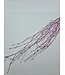 Brume Rose Branches de Bouleau | Longueur ± 60 centimètres | Par 10 branches