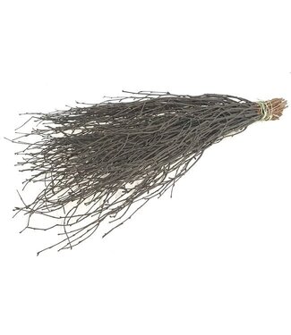 Dutch Dried Schwarze Birkenzweige | Länge ± 60 Zentimeter | Pro 10 Zweige