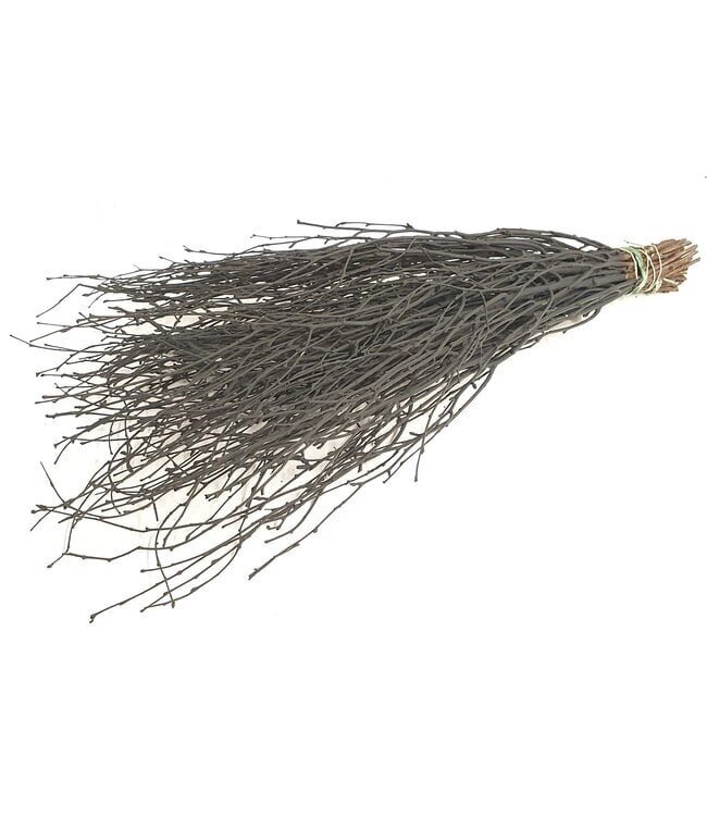 Black Birch Branches | Length ± 60 centimetres | Per 10 branches