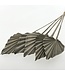 Palmier séché gris | Longueur ± 45 centimètres | Par 5 branches