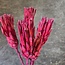 Red - pink Protea Repens dried flowers | Length ± 40 centimetres | Per 3 stems