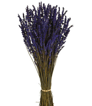 Casa Alegria Dunkelblau konservierter Lavendel | Länge ± 45 Zentimeter | Gewicht ± 150 Gramm