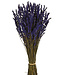 Dark blue preserved Lavender | Length ± 45 centimetres | Weight ± 150 grams