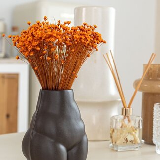 Casa Alegria Orange Glixia dried flowers | Length ± 50 centimetres | Weight ± 50 grams