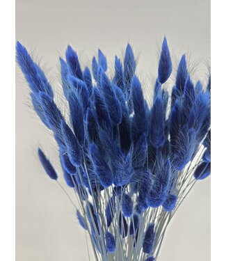 Dolce Vita Dunkelblaue Lagurus Trockenblumen | Länge ± 65 Zentimeter | Gewicht ± 100 Gramm