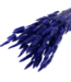 Purple-blue Lagurus dried flowers | Length ± 65 centimetres | Weight ± 100 grams