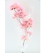 Light Pink Bougainvillea Dried Flowers | Length ± 45 centimetres | Weight ± 35 grams