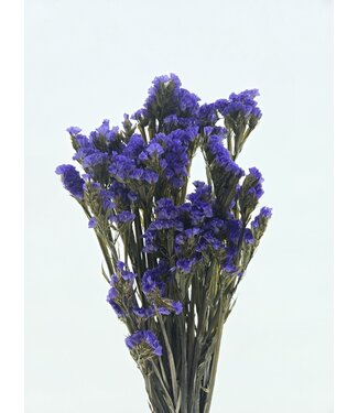Casa Alegria Purple Statice Sinuata preserved flowers | Length ± 65 centimetres | Weight ± 75 grams