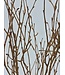 Branches de bouleau couleur saumon | Longueur ± 60 centimètres | Par 10 branches