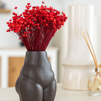 Casa Alegria Red Glixia dried flowers | Length ± 50 centimetres | Weight ± 50 grams