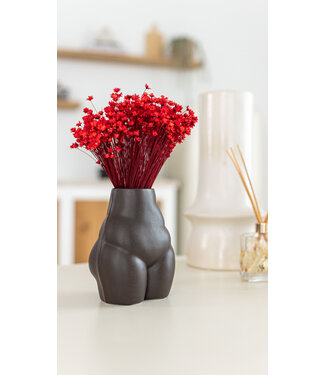 Dutch Dried Rote Glixia Trockenblumen | Länge ± 50 Zentimeter | Gewicht ± 50 Gramm