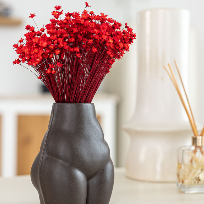 Rode Glixia droogbloemen | Lengte ± 50 centimeter | Gewicht ± 50 gram