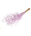 Lila Curly Ting Ting Trockenblumen | Länge ± 60 Zentimeter | Gewicht ± 100 Gramm