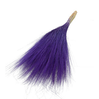 Dutch Dried Fleurs séchées Barba de Bode violettes | Longueur ± 55 centimètres | Poids ± 50 grammes