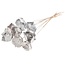 Witte Palm Cup droogbloemen | Lengte ± 55 centimeter | Per 10 takken