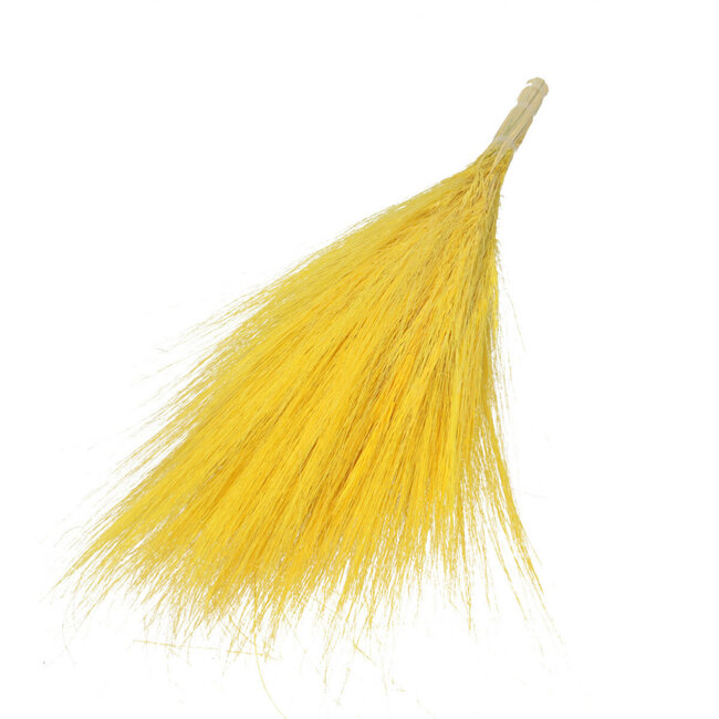 Yellow Barba de Bode dried flowers | Length ± 55 centimetres | Weight ± 50 grams