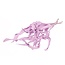 Purple dried Strelitzia leaves | Length ± 70 centimetres | Per 10 stems