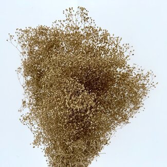 Casa Alegria Goudkleurig Gypsophila Mini droogbloemen | Lengte ± 50 centimeter | Gewicht 100 gram