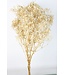 White Gypsophila dried flowers | Preserved Baby's Breath | Length ± 65 centimetres | Per 100 grams