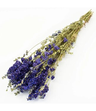 Dutch Dried Natural Blue Delphinium - Larkspur dried flowers | Length ± 70 centimetres | Weight ± 100 grams