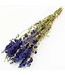 Natürliche Blaue Delphinium - Rittersporn Trockenblumen | Länge ± 70 Zentimeter | Gewicht ± 100 Gramm