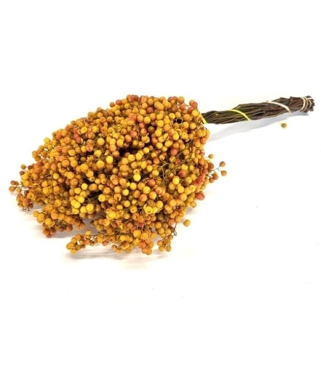 Schinus jaune - Décoration sèche de baies de poivre | Longueur ± 35 centimètres | Poids ± 150 grammes