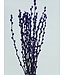 Intense purple Salix catkins | Length ± 70 centimetres | Per 10 branches
