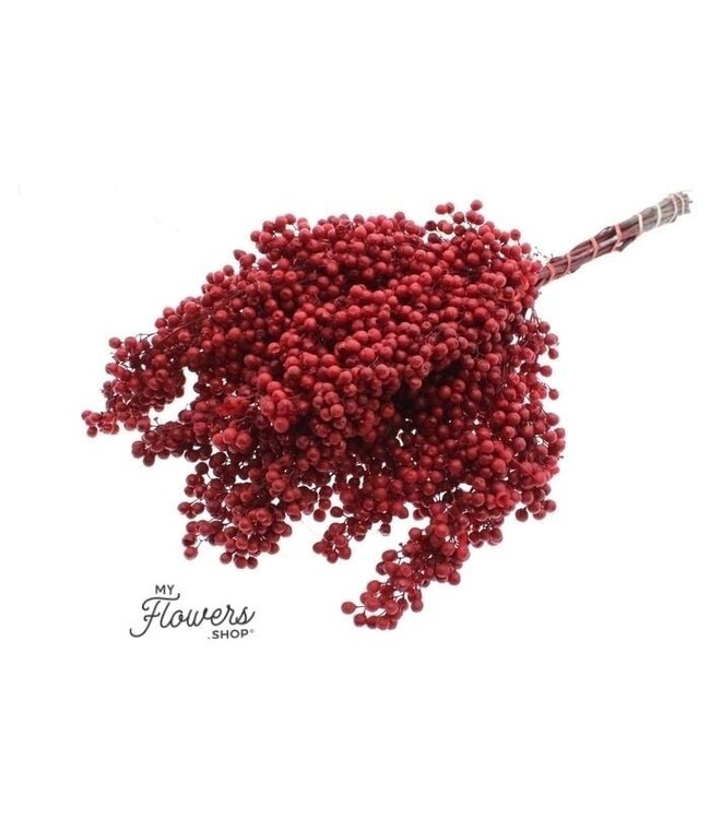 Roter Schinus - Pfefferbeeren Trockenblumendekoration | Länge ± 35 Zentimeter | Gewicht ± 150 Gramm