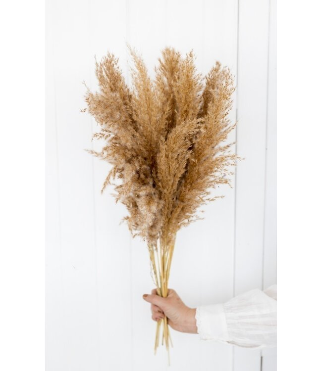 Natural Brown Feather Duster | Length ± 70 centimetres | Weight ± 85 grams
